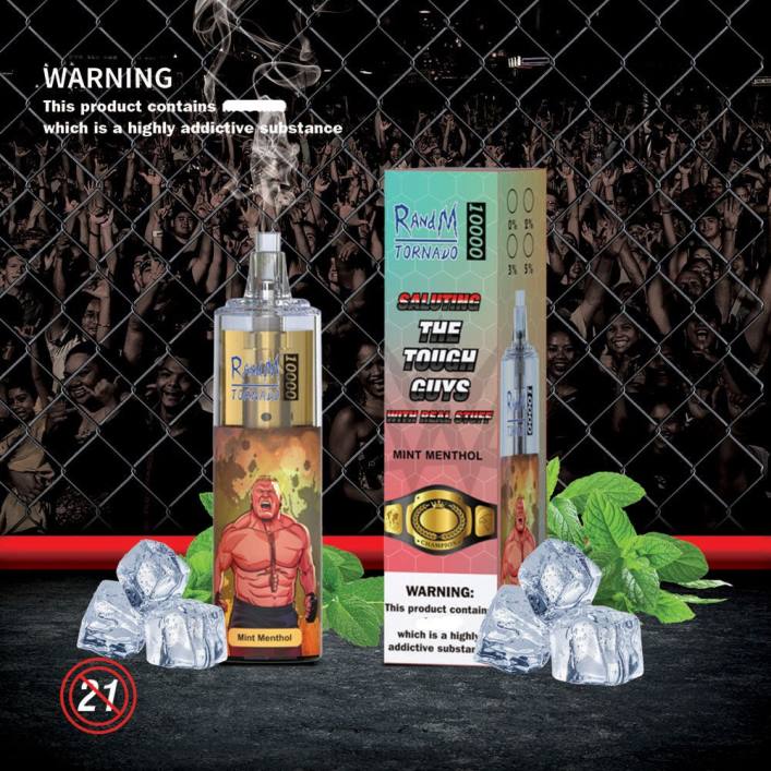 Fumot RandM Vape | RandM Tornado 00P2110 10000 Airflow Control Vape-Gerät 1St Minze Menthol